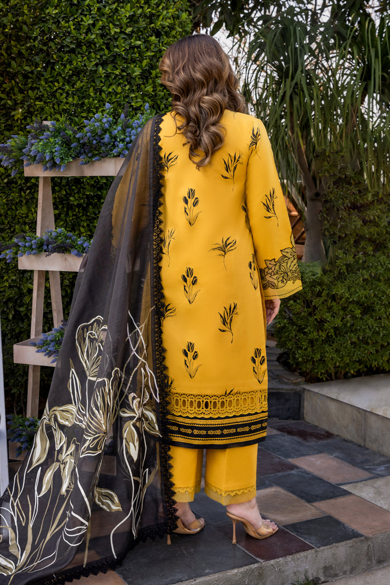 Rangrasiya | Carnation Luxury Shawl Edit | Mocha