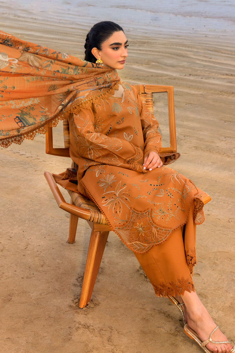 Rangrasiya | Carnation Luxury Shawl Edit | Espresso