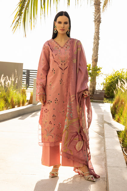 Rangrasiya | Carnation Summer Edit 25 | Zinnia