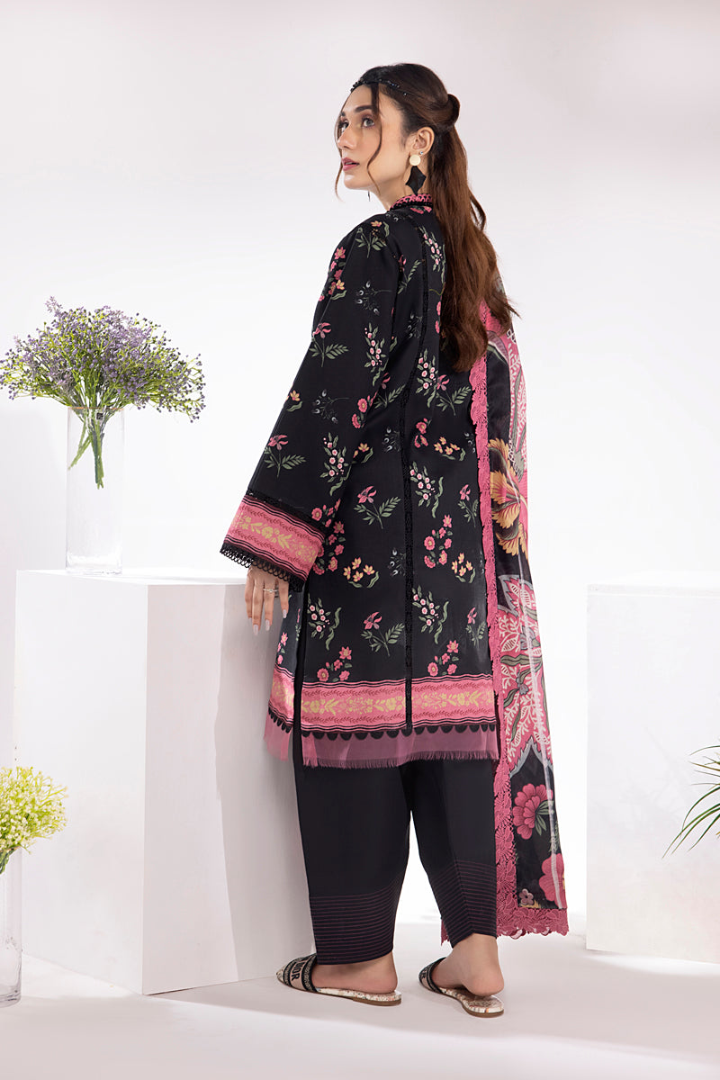 Midnight – Rang Rasiya