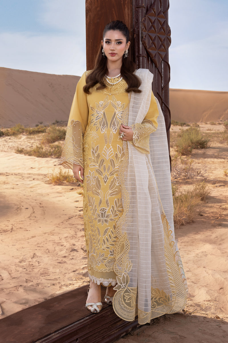 slim fit dress slacks Hoorain – Rang Rasiya
