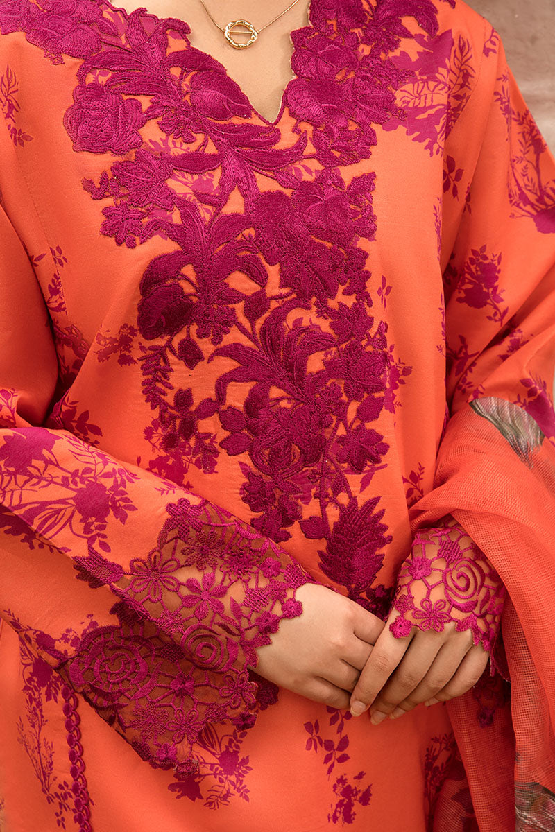 Rose – Rang Rasiya